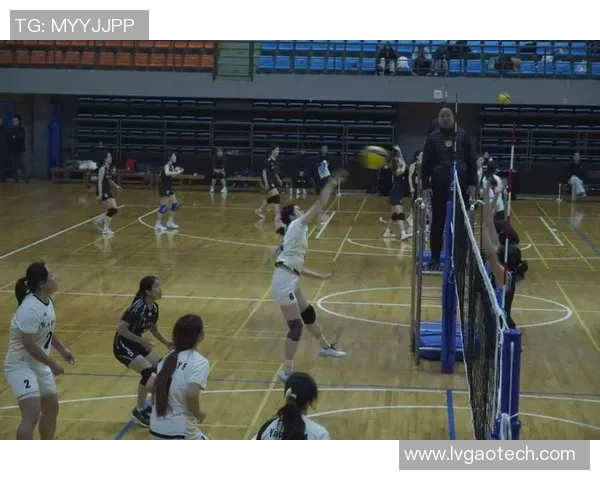 重庆排球队的意识提升与团队协作探讨聚焦排球运动发展新方向