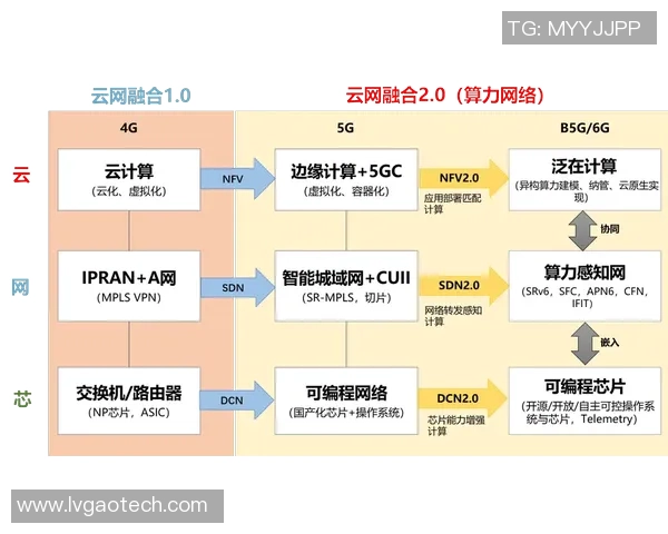 武汉网球队近期状态分析与未来发展展望的深度探讨 武汉网球队近期状态分析与未来发展展望的深度探讨