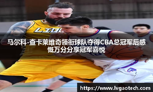 马尔科-查卡莱维奇领衔球队夺得CBA总冠军后感慨万分分享冠军喜悦