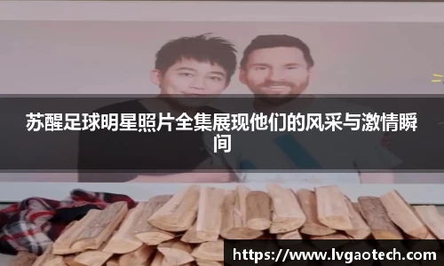 易彩堂平台